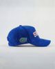 UPSIDE Upside Florida Gators Faux Suede Hat in Blue, Men's at Urban Outfitters - 3