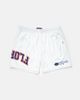 UPSIDE Upside Florida Gators Mesh Shorts in White, Men's at Urban Outfitters - 1