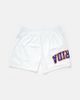 UPSIDE Upside Florida Gators Mesh Shorts in White, Men's at Urban Outfitters - 2