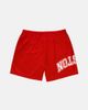 Upside Upside Houston Cougars Mesh Shorts in Red, Men's at Urban Outfitters - 2