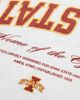 UPSIDE Upside Iowa State Cyclones Oversized Tee in White, Men's at Urban Outfitters - 4