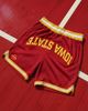 Upside Upside Iowa State Cyclones Varsity Mesh Shorts in Red at Urban Outfitters - 1