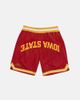 Upside Upside Iowa State Cyclones Varsity Mesh Shorts in Red at Urban Outfitters - 3