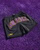 Upside Upside Louisiana State University Tigers Mesh Shorts in Black, Men's at Urban Outfitters - 1