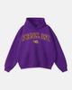 UPSIDE Upside LSU Tigers Varsity Hoodie in Purple at Urban Outfitters - 1