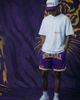 Upside Upside LSU Tigers Varsity Mesh Shorts in Purple at Urban Outfitters - 1