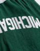 UPSIDE Upside Michigan State Varsity Mesh Shorts in Dark Green, Men's at Urban Outfitters - 4