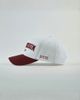 Upside Upside Mississippi State Bulldogs Hat in White, Men's at Urban Outfitters - 4