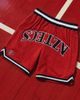 UPSIDE Upside San Diego State Aztecs Varsity Mesh Shorts in Red, Men's at Urban Outfitters - 1