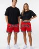 UPSIDE Upside San Diego State Aztecs Varsity Mesh Shorts in Red, Men's at Urban Outfitters - 2