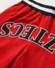 UPSIDE Upside San Diego State Aztecs Varsity Mesh Shorts in Red, Men's at Urban Outfitters - 4