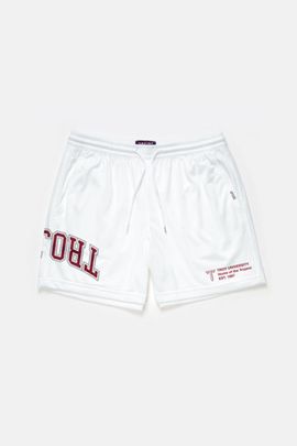 UPSIDE Upside Troy Trojans Mesh Shorts in White, Men's at Urban Outfitters
