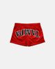Upside Upside University of Tampa Spartans Mesh Shorts in Red, Women's at Urban Outfitters - 1