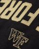 UPSIDE Upside Wake Forest Varsity Hoodie in Black, Men's at Urban Outfitters - 4