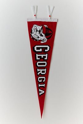 Urban Outfitters Collegiate Pennant Flag Wall Hanging in Georgia at Urban Outfitters