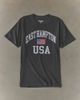 Urban Outfitters East Hampton USA Graphic Tee in Washed Charcoal, Men's at Urban Outfitters - 1