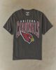 Urban Outfitters NFL Arizona Cardinals Vintage Graphic Tee in Black, Men's at Urban Outfitters - 1