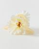 Urban Outfitters Orchid Flower Banana Clip Claw in All White, Women's at Urban Outfitters - 1