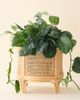 Urban Outfitters Rattan 12" Planter in Natural at Urban Outfitters - 1