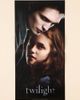 Urban Outfitters Twilight 2026 Wall Calendar in Assorted at Urban Outfitters - 5