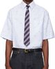 Valentino Valentino Blue Cotton Oxford 'Le Chat De La Maison' Shirt - 1