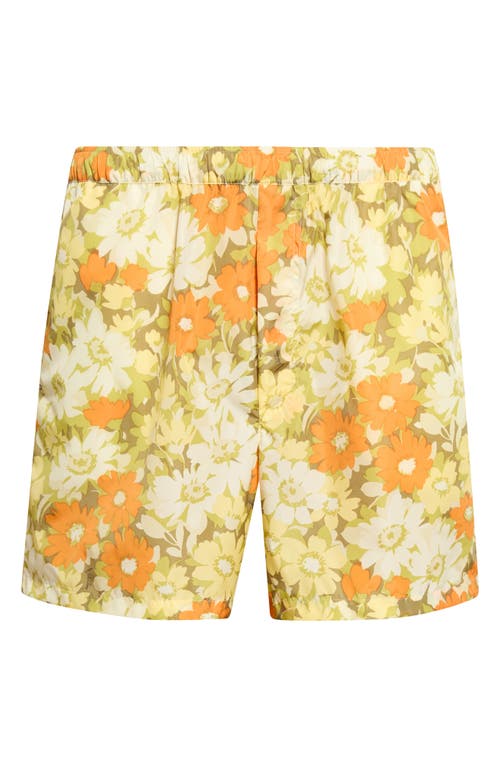 Valentino Valentino Floral Swim Trucks