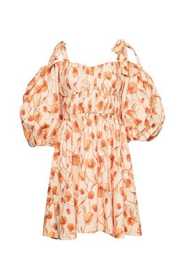 Sho Dress