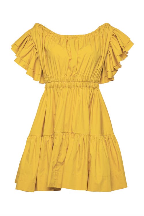 Vasiliki Vasiliki Ava Ruched Mini Dress