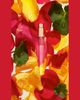 Veronique Gabai Aroma Heart, Body & Soul Discovery Set, 3 x 0.3 oz. - 3
