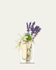 Veronique Gabai Eau d'Azur Perfume, 2.9 oz. - 2