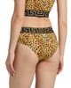 Versace Women's Cheetah-Print Stretch-Cotton Jersey Underwear - 4