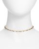 VIDAKUSH VIDAKUSH Rainbow Cluster Choker Necklace - 1