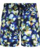 Vilebrequin Vilebrequin Men's Frangipanier Trouble Swim Shorts - 1