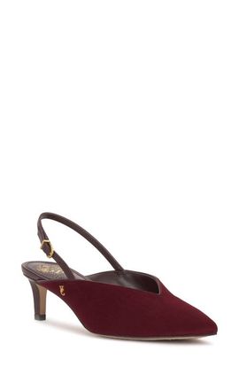 Vince Camuto Vince Camuto Kylien Slingback Pointed Toe Pump