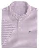 vineyard vines vineyard vines Air Tech Mesh Performance Polo - 5