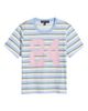 Vinyl Icons Vinyl Icons Striped 24 Graphic T-Shirt - 5