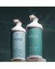 Virtue Virtue Recovery Pro Holiday Duo - 2