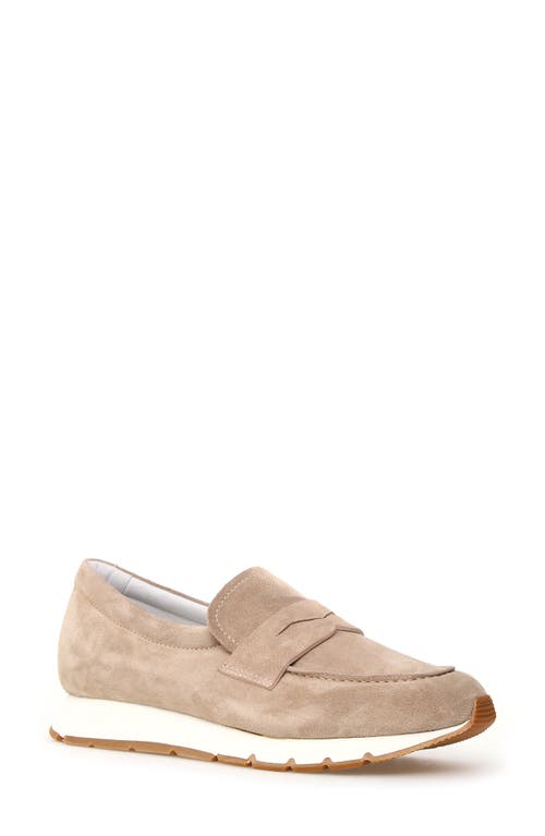 Voile Blanche Voile Blanche Julia Hybrid Loafer Sneaker