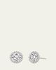 VRAI 14K White Gold Brilliant Round Halo Lab Grown Diamond Stud Earrings, 2.00tcw - 1