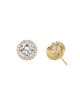 Vrai Vrai Halo Stud Earrings in 14K Gold, 2.0ctw Round Brilliant Lab Grown Diamond - 4