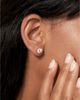 Vrai Vrai Solitaire Stud in 14K Gold, 4ctw Round Brilliant Lab Grown Diamond - 2