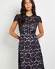 Wallis Wallis Lace Fit And Flare Midi Dress - 2