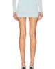 WARDROBE.NYC WARDROBE.NYC Translucent Skirt Mini Skirt - 4