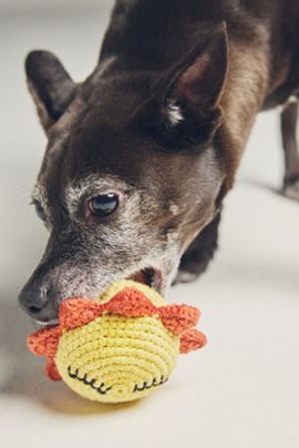 WARE of the DOG Cotton Crochet Squeaky Dog Toy