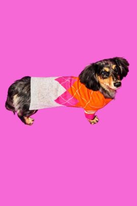 Ware of the Dog Ware of the Dog Argyle Sweater