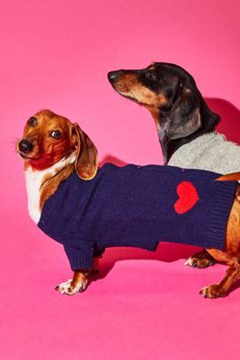 Ware of the Dog Ware of the Dog Heart Cardigan
