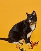 Ware of the Dog Ware of the Dog Wool Mouse Cat Toy - 1