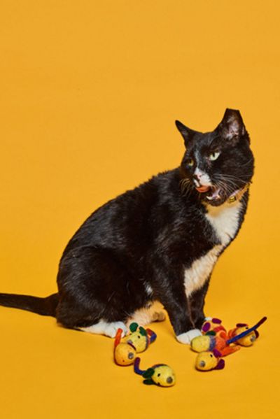 Ware of the Dog Ware of the Dog Wool Mouse Cat Toy