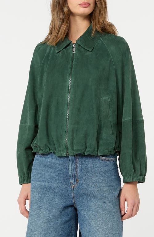 Weekend Max Mara Weekend Max Mara Zuppa Suede Jacket