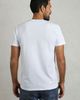 Weird Fish Weird Fish Summer Sector Graphic T-Shirt - 5